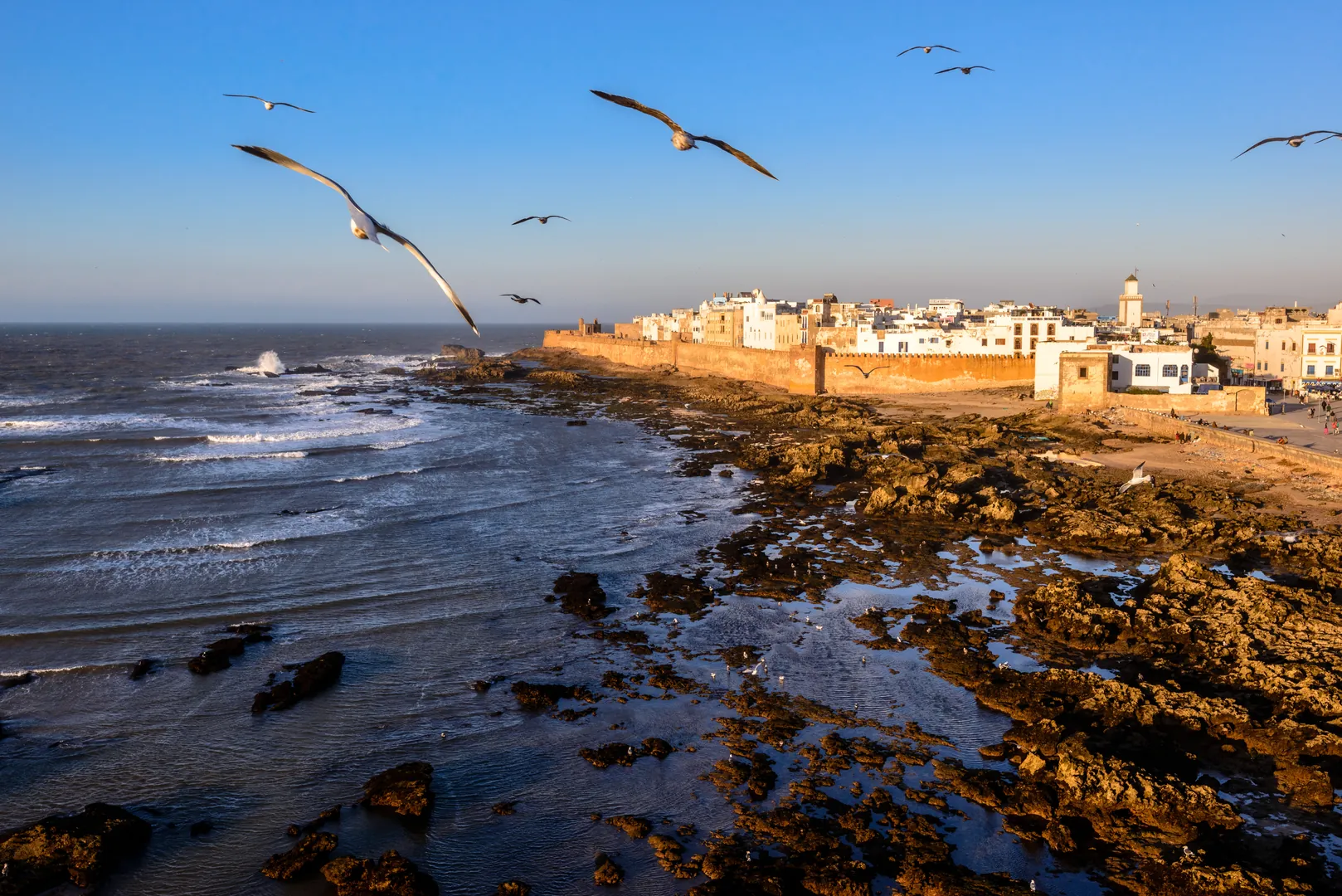 Atlantic Reverie